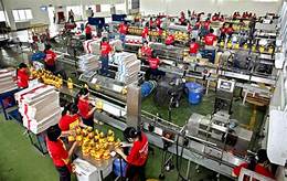 Dầu Thực Vật Cái Lân-Công Ty TNHH Dầu Thực Vật Cái Lân-Chi Nhánh Hà Nội ( Dầu Ăn )