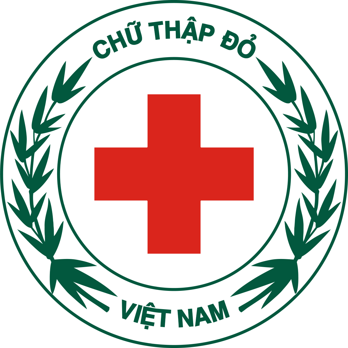 Chữ thập đỏ. Trung ương hội chữ thập đỏ Việt Nam