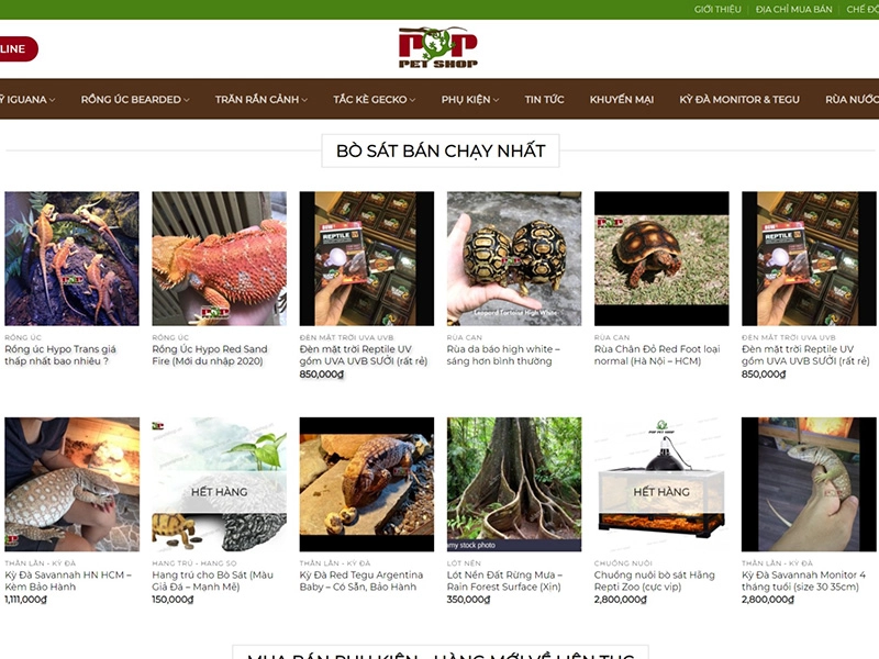 Pop Pet Shop – Shop Bò Sát Cảnh, Tp.HCM